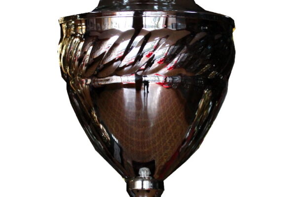 Супер купа на българия